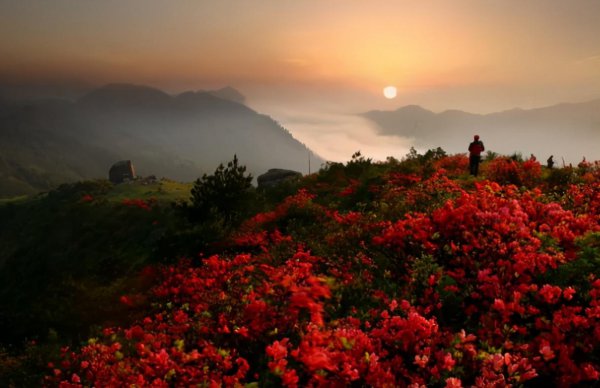 寿宁县属于哪个省哪个市