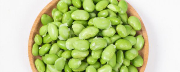 常见植物科有哪些