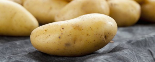 土豆在家的种植方法