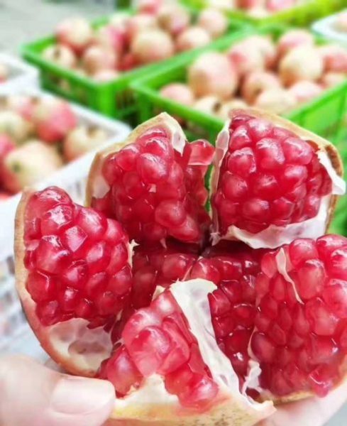 应季的蔬菜和水果时间表