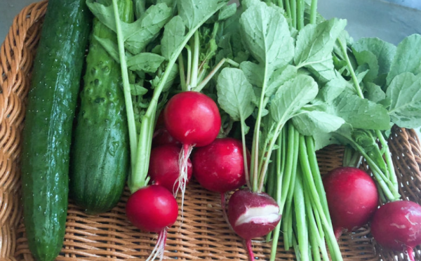 应季的蔬菜和水果时间表