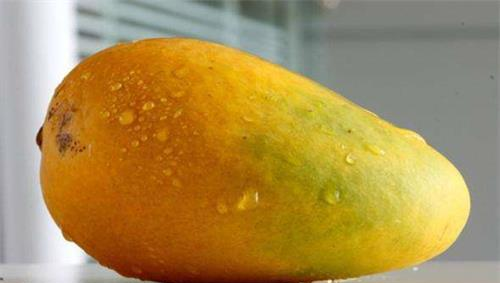 应季的蔬菜和水果时间表