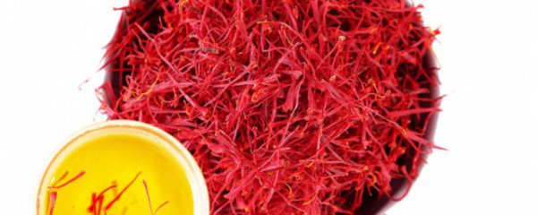 如何辨别藏红花的好坏