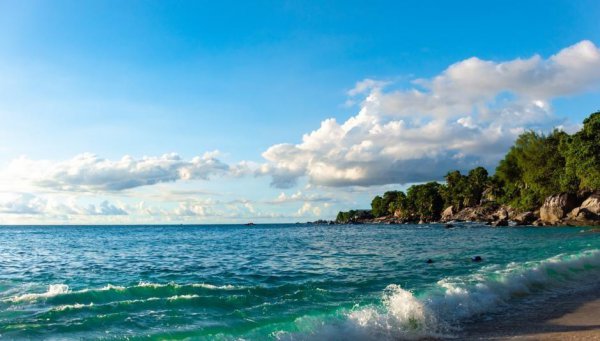 摩羯座女生怎么追