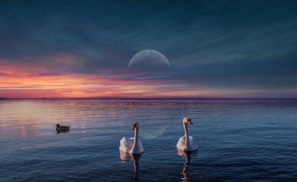 摩羯座女生怎么追