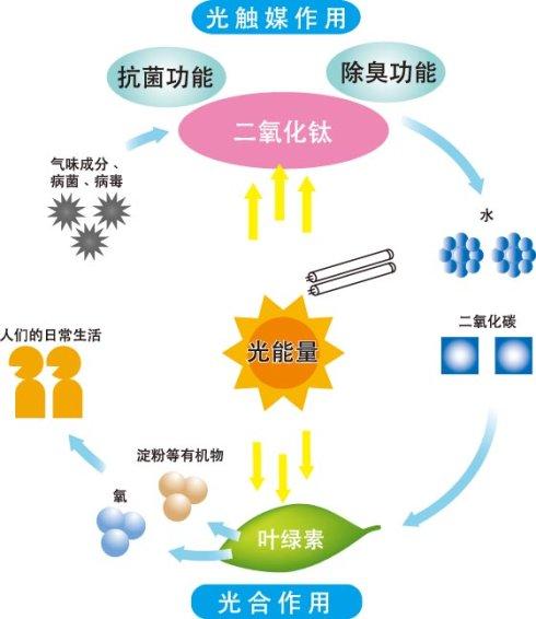 新车怎样快速处理甲醛和味道