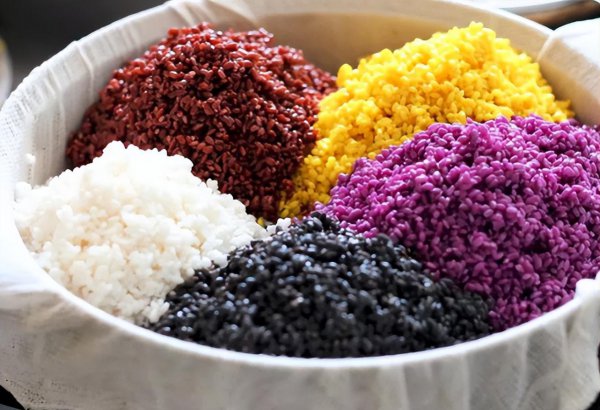 做乌米饭的树叶是什么树