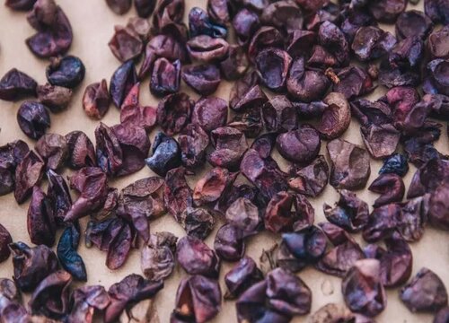 葡萄皮可以做肥料吗