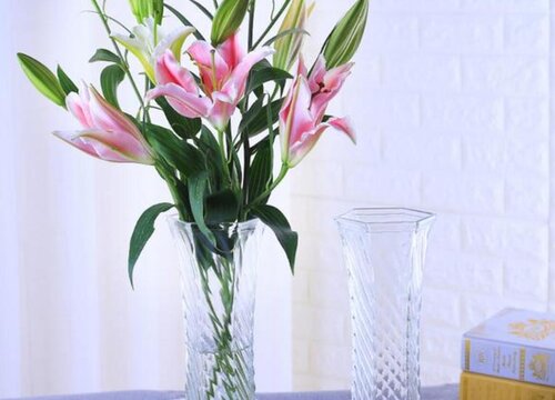 百合花可以水培吗