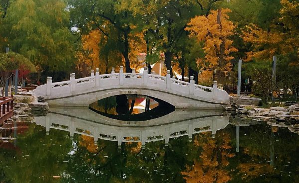 十二星座能考什么大学排