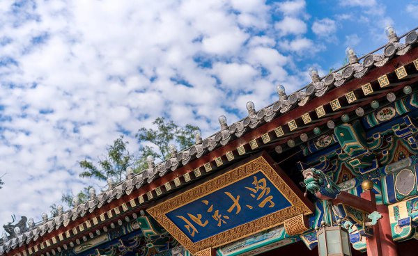 十二星座能考什么大学排