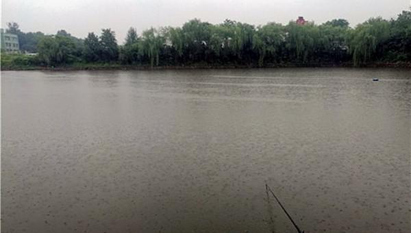 春季下雨天好钓鱼吗