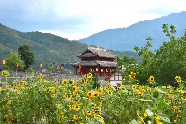 青溪古镇在什么地方