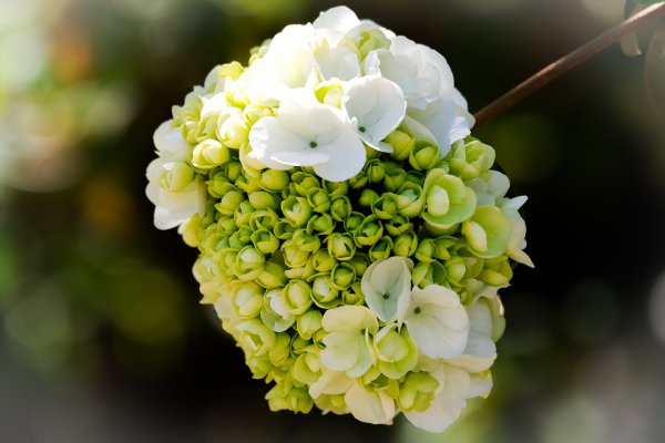 男生欲情故纵的表现