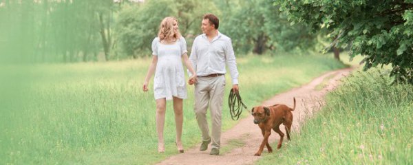 狗狗生跳蚤怎么办