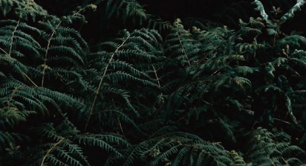 老公不爱你的五种表现