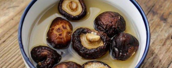 干香菇可以泡一夜吗