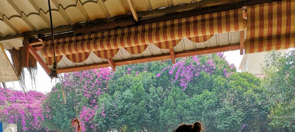 瑞丽属于哪个省哪个市