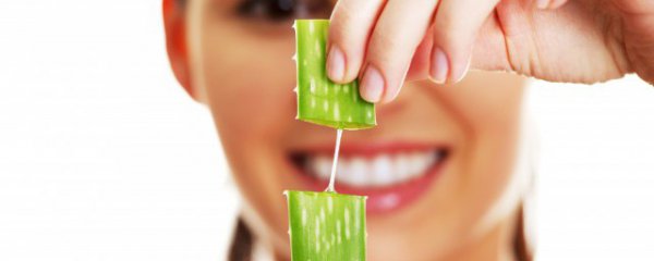 生吃芦荟的好处和坏处