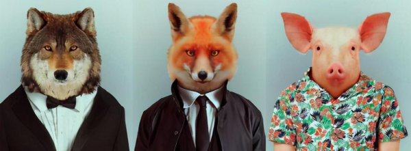 心理变态的表现症状有哪些