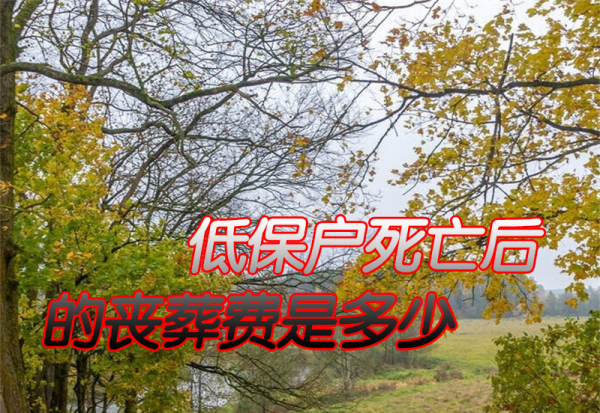 低保户死亡有丧葬费吗
