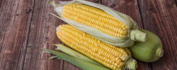 玉米冰冻煮多久才熟