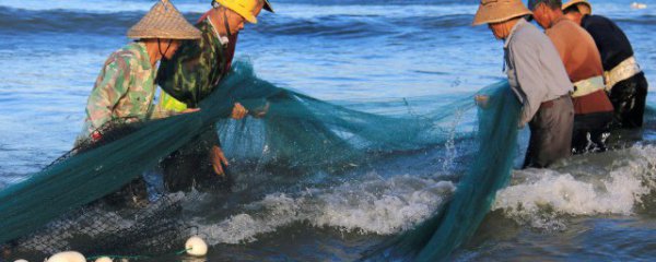 鱼塘漏水怎么办