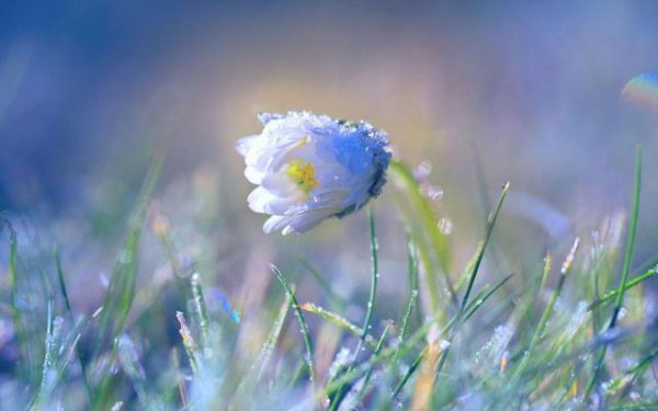 不动声色能掌控全局的星座女