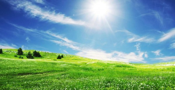 自嘲是什么意思有什么含义