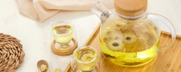 能不能喝隔夜的菊花茶