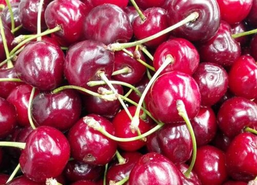 哪种水果含糖量最少