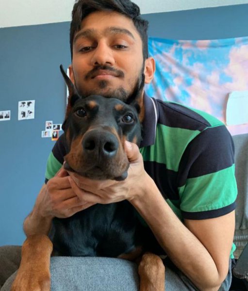 世界最聪明的狗排名