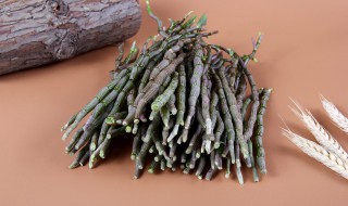 石斛开花方法和注意事项 石斛如何养殖才开花