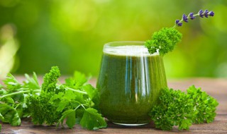 芹菜在家怎么种植 自己在家怎么种芹菜