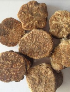 阿魏钓鱼配方制作方法 中草药阿魏在冬季垂钓的作用