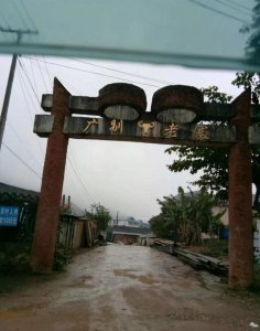 广别老寨古树茶口感特点与口感 为什么被称为“妖茶”