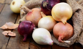 洋葱和羊肉能一起吃吗 洋葱和羊肉可不可以同时吃