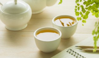益阳黑茶的正确冲泡方法 益阳黑茶怎么正确冲泡
