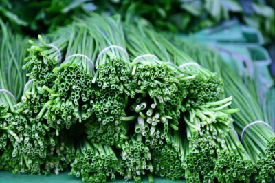 韭黄是韭菜吗有什么区别 韭黄和蒜黄是一种菜吗