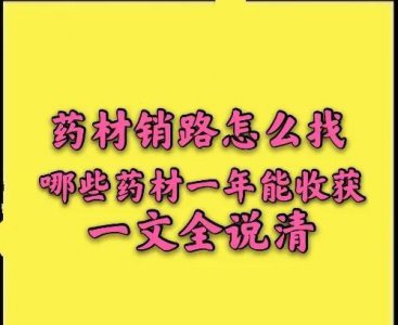 亩效益过万的一年生药材 农村种植什么药材项目更赚钱