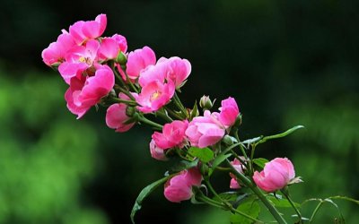 死要面子人的心理缺陷 太在意面子的人是什么性格