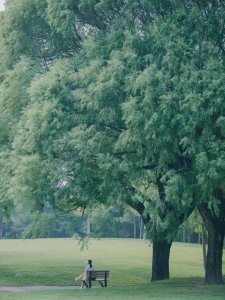 北京公园排名哪个最好玩 北京值得去玩的6个神仙公园