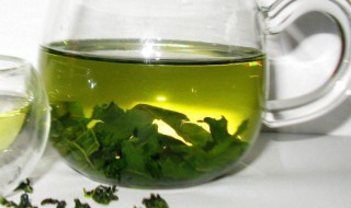 过夜的桑叶水可以吃吗 过夜的桑叶水还能不能食用