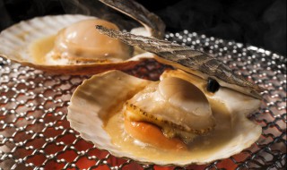 贝类有哪些常见品种 贝类有什么常见品种