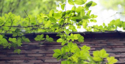 心机重是什么意思 一个人心机很重做事情有这些特点