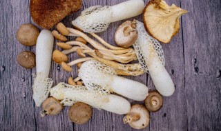 新鲜的菇怎么挑 新鲜的菇如何挑选呢