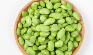 常见植物科有哪些 常见植物科有哪几种