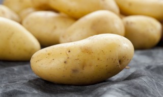 土豆在家的种植方法 教你在家种植土豆