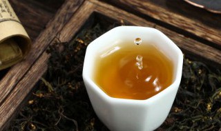 生普洱茶怎么泡 生普洱茶如何泡