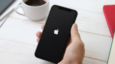 苹果反复亮标不开机什么原因 苹果卡在开机画面怎么解决